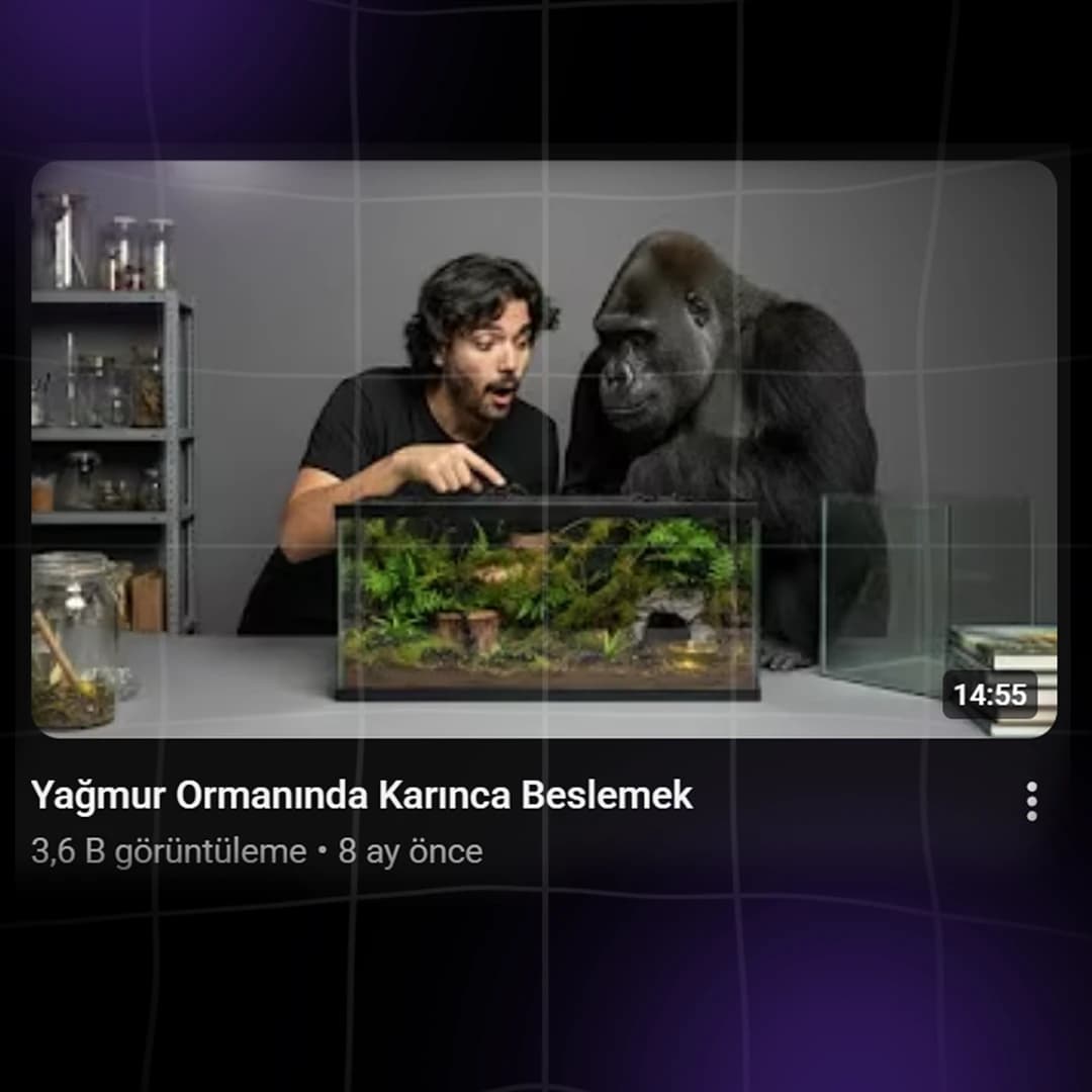 Karınca Sanatı proje görseli 2