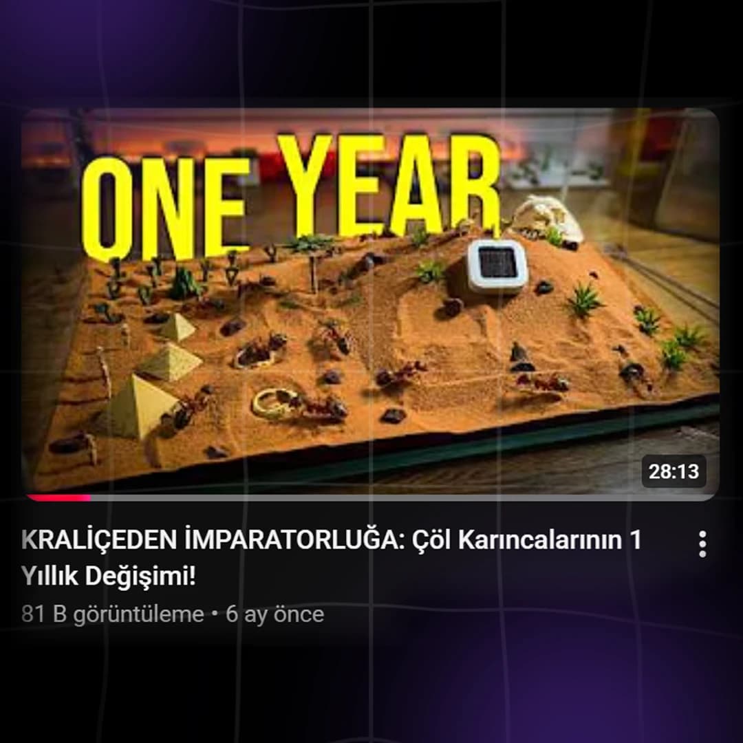 Karınca Sanatı proje görseli 1